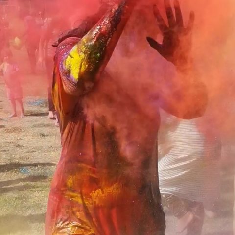 Holi1 Holi1